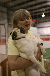 Top Dog - Otis